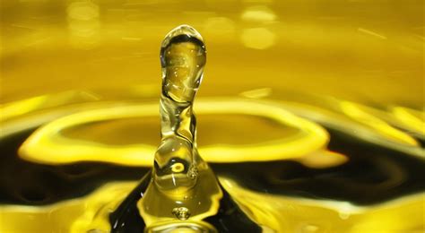 olio oliva1